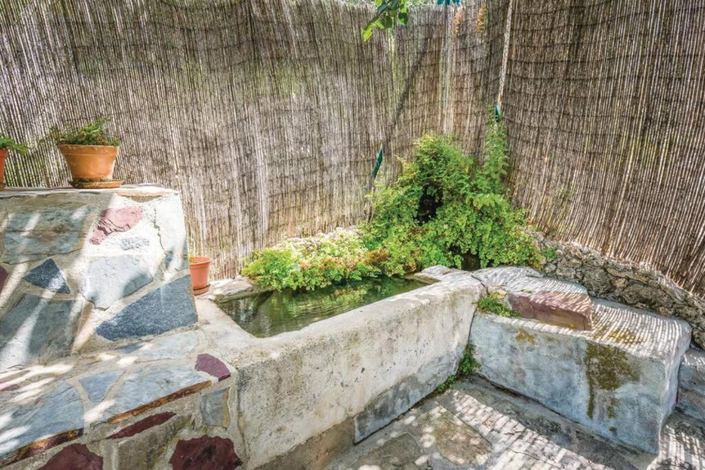 El Manantial Villa Montecorto Ngoại thất bức ảnh